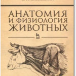 anatomija-i-fiziologija-zhivotnyh-zelenevskij-n.-v.