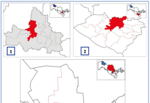 ЎЗБЕКИСТОННИНГ МАРКАЗИЙ ҲУДУДЛАРИДАГИ ИТЛАР ПОПУЛЯЦИЯСИДА DIROFILARI IMMITIS (LEIDY, 1856) НЕМАТОДАСИНИНГ ТАРҚАЛИШИ ВА ЗООНОТИК АҲАМИЯТИ