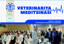 Mахсус сон №6 2024