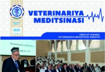 Mахсус сон №1 2025