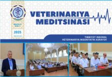 Mахсус сон №3 2025