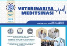 Махсус сон № 4 2025