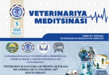 Махсус сон № 5 2025