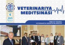 Махсус сон № 6 2025