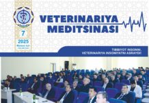 Махсус сон №7 2025