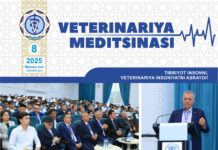 Махсус сон №8 2025