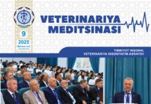 Махсус сон №9 2025