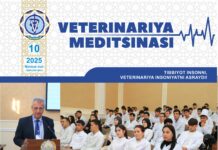 Махсус сон №10 2025